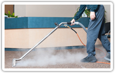 professional steam cleaners